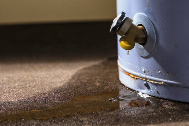 Best Water damage cleanup near me  in Prces Lakes, IN