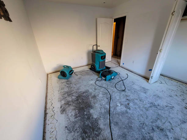 Best Sewage cleanup and water damage restoration  in Prces Lakes, IN
